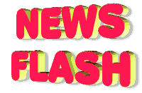 news-flash.gif